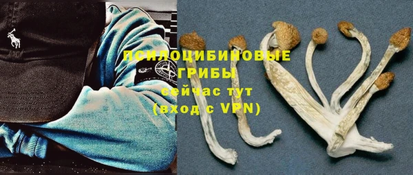 кокс Аркадак