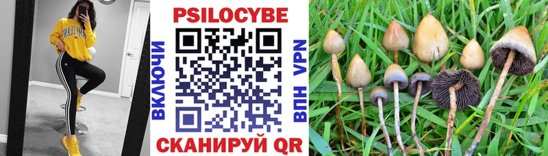 Галлюциногенные грибы MAGIC MUSHROOMS  Данков 